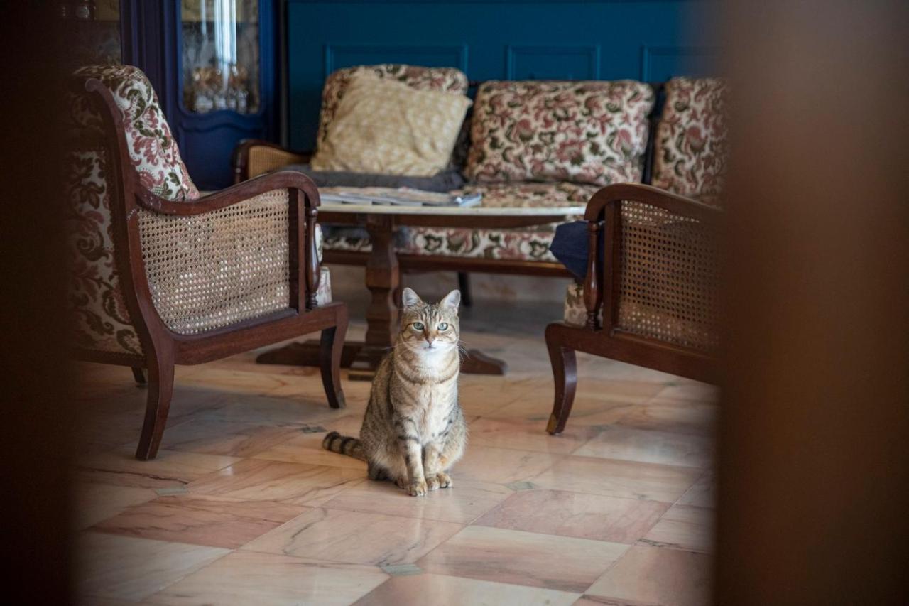 La Bellevue Breville - B&B ภายนอก รูปภาพ